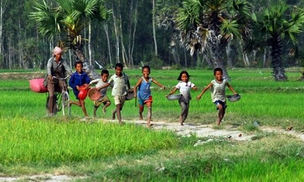 Tiếng đồng quê (Bài đọc hiểu tiếng Việt lớp 5 - đề số 29) 